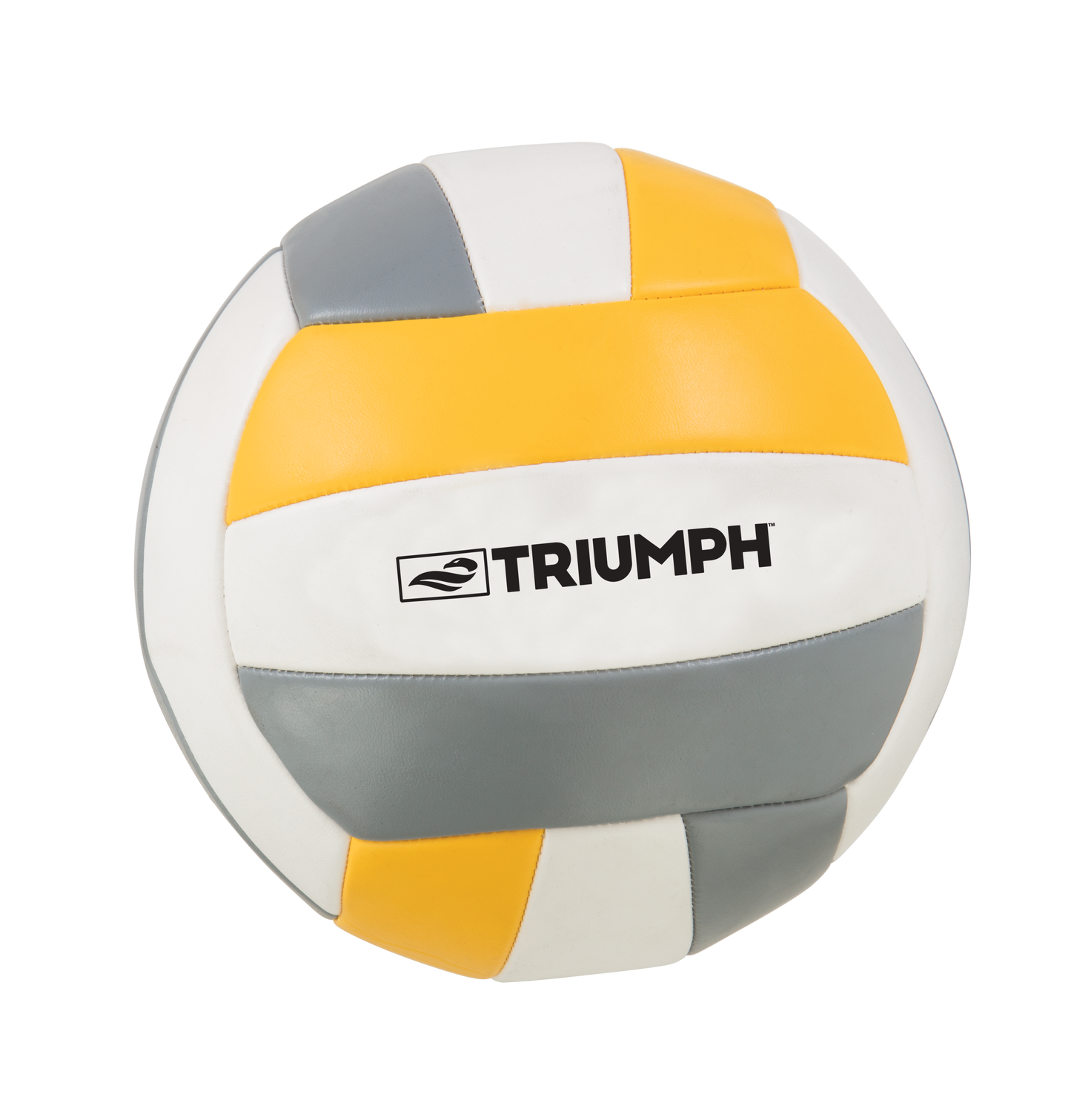 Triumph Competition Volleyball Set