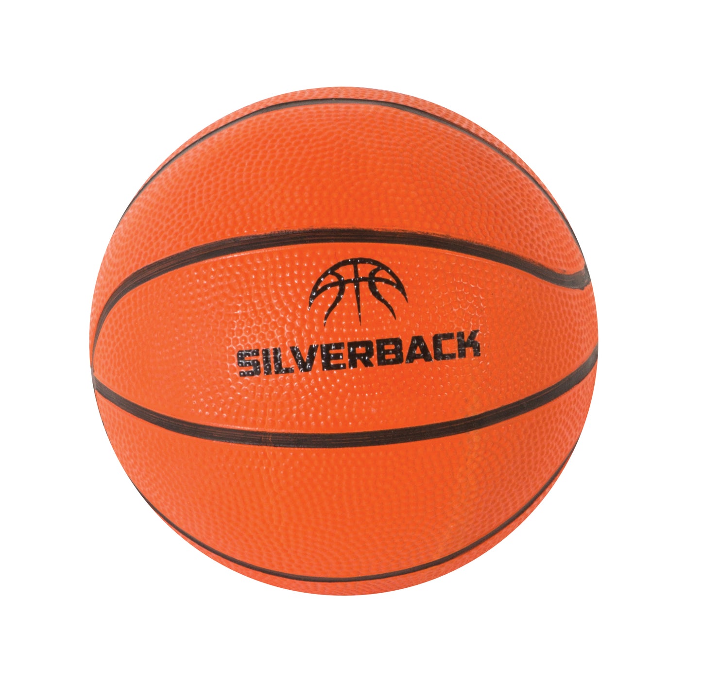 Silverback 18" Mini Hoop