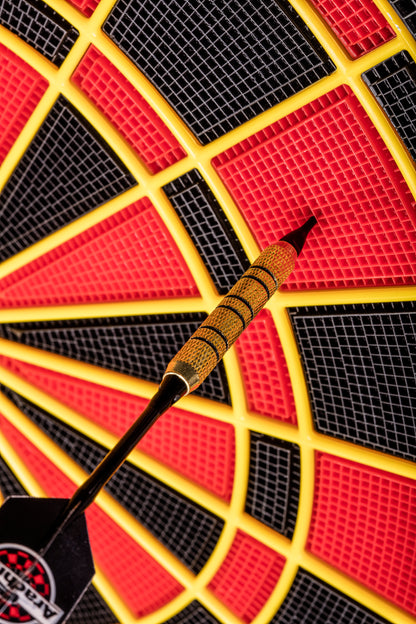 Cricket Pro 800 Electronic Dartboard