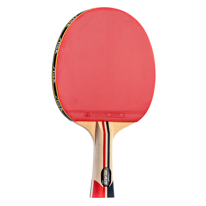 STIGA Blaze Racket