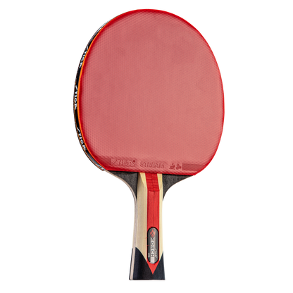 STIGA Torch Racket